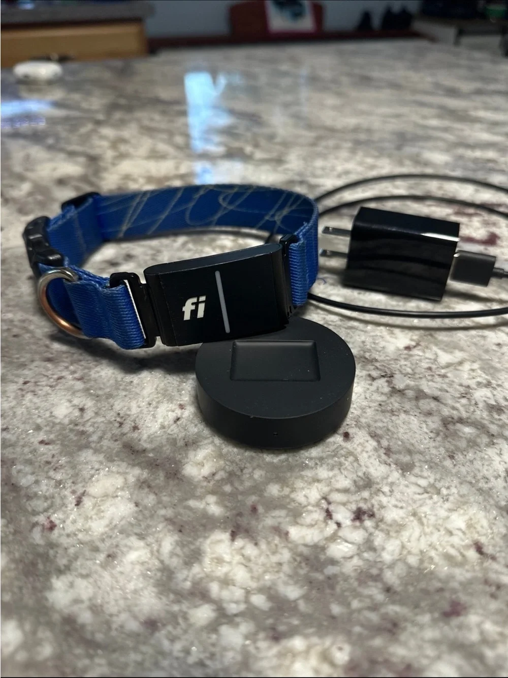 Medium Fi Smart Dog Collar with GPS Tracker Series 3+ with Charger